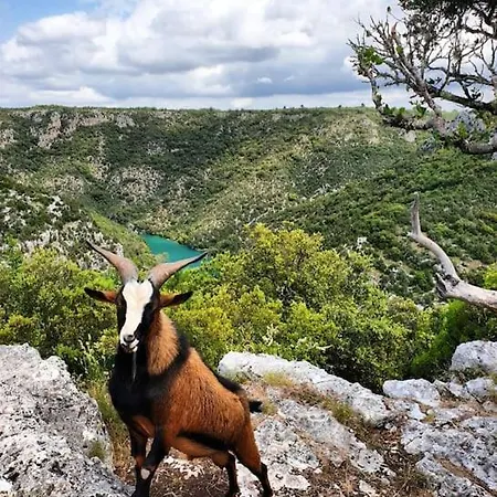élégant&moderne - Entre Lavande Et Gorges Du Verdon *