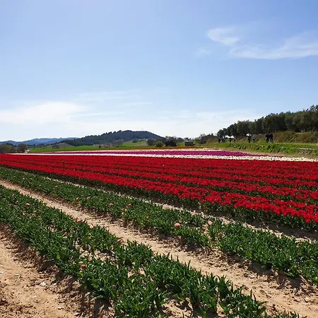 Appartement élégant&moderne - Entre Lavande Et Gorges Du Verdon *