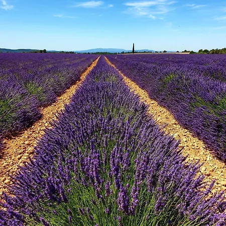 élégant&moderne - Entre Lavande Et Gorges Du Verdon Appartement *