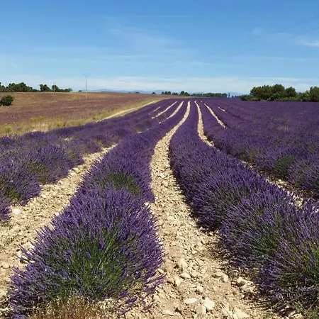 Elegant & Moderne - Entre Lavande Et Gorges Du Verdon Apartmán