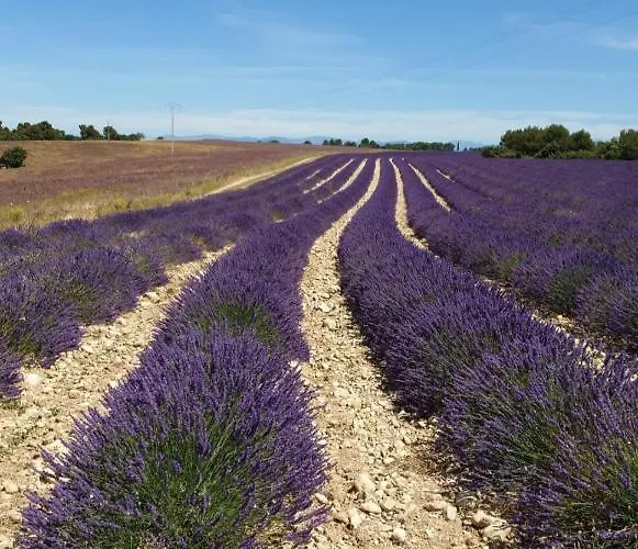 élégant&moderne - Entre Lavande Et Gorges Du Verdon Appartement